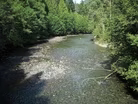 February 21, 2020 - Proposed BC Mine Threatens Skagit Salmon