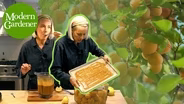 Easy, Organic Apricot Leather