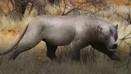When Giant Hypercarnivores Prowled Africa