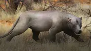 When Giant Hypercarnivores Prowled Africa