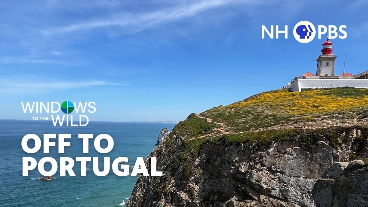 NHPTVSD
