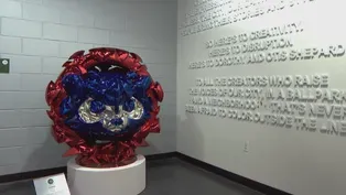 Chicagoland Artist Makes Wrigley Field Debut