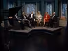 Panel
