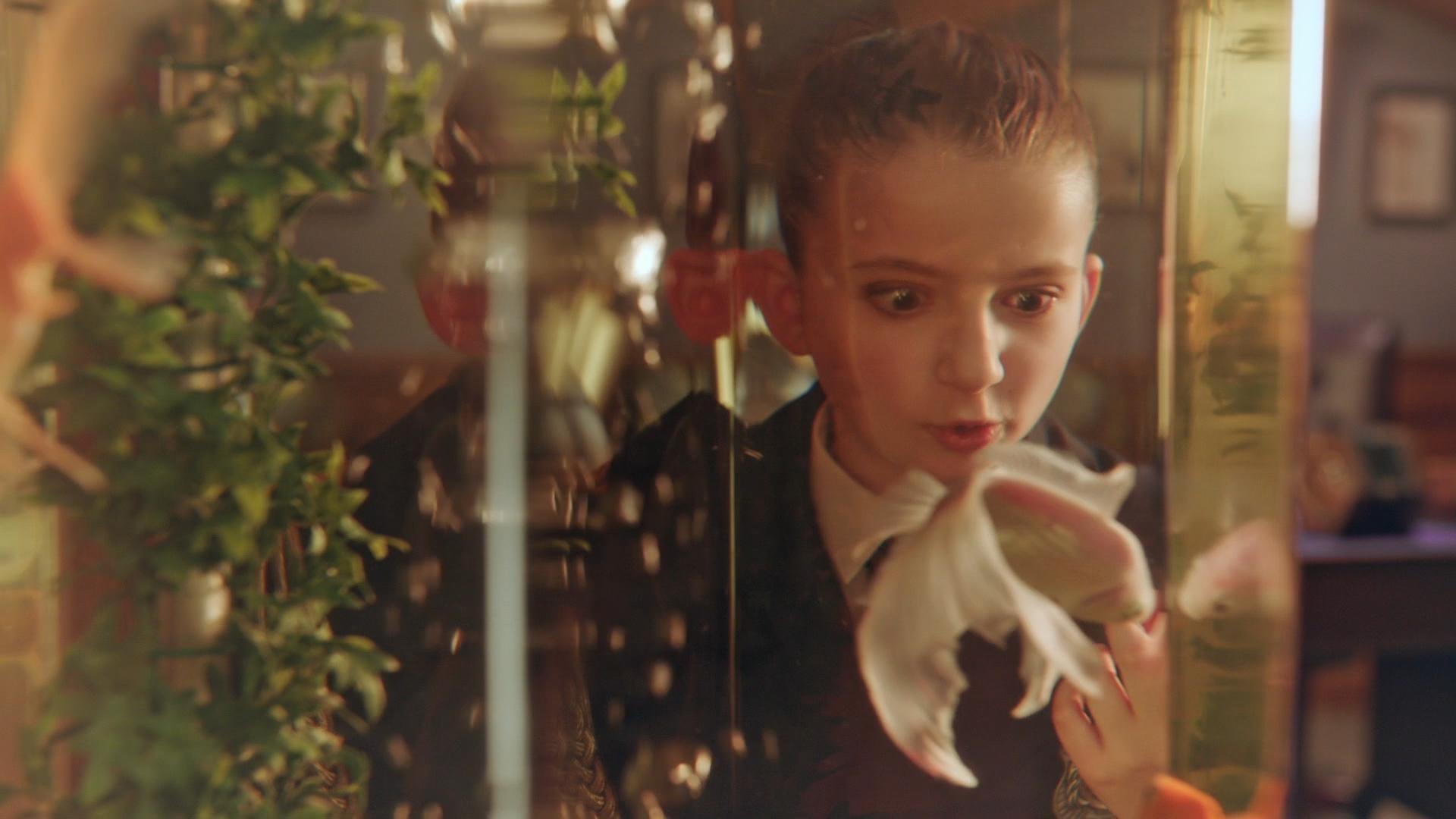 Should Odd Acquaintance Be Forgot: Part 2