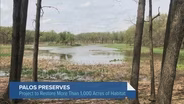 Massive Restoration Project Underway at Palos Preserves