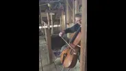 Cello Player