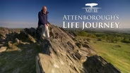 Nature: Attenborough's Life Journey | Trailer