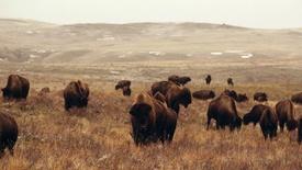 Bring Them Home: asset-mezzanine-16x9