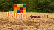Our Ohio Season 11 Preview