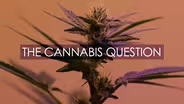 The Cannabis Question: Vermont Edition