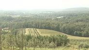 Blue Ridge