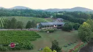 Glass House Winery