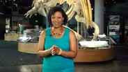 Promo for July 4, 2019