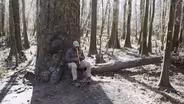 Bird expert and poet on how he's inspired by natural world