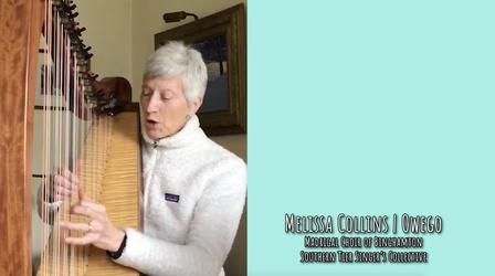 Video thumbnail: Artists' Neighborhood Melissa Collins