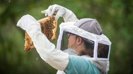 Video thumbnail: PBS North Carolina Presents Keepers of the Bees