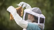 Keepers of the Bees