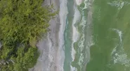 Great Lakes Now Virtual Field Trip - Algae