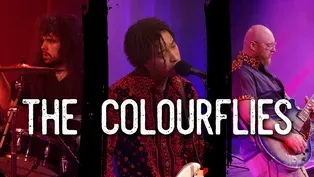 The Colourflies