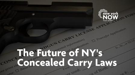 Reporters Roundtable: New Concealed Carry Gun Laws