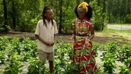 Crops of West Africa