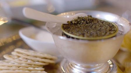 Video thumbnail: tasteMAKERS Marshallberg Farm