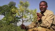 Restoring the Earth