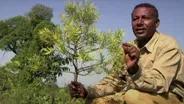 Restoring the Earth