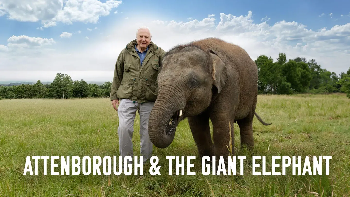 Attenborough and the Giant Elephant | PBS