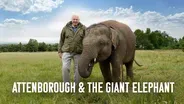 Attenborough and the Giant Elephant