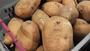 Laser Branded Potatoes