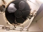 Families sound alarm on toxic mold in military housing