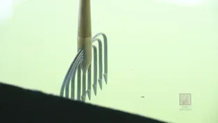 Northern Pike Spearing on Lac qui Parle Lake