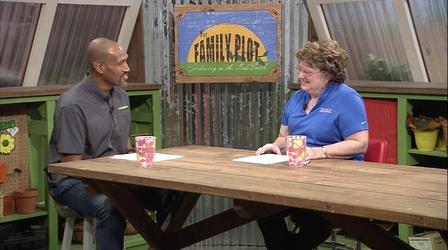 Video thumbnail: The Family Plot Spring-Blooming Shrubs & Fruit Tree Root Stock