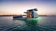 Seahorse on the Water