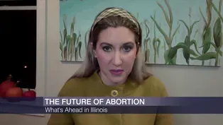 What is the Future of Abortion Rights in Illinois?
