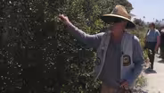 After losing sight, scientist creates unique nature walk