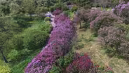 Join Track a Lilac
