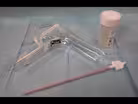 Pap Smear