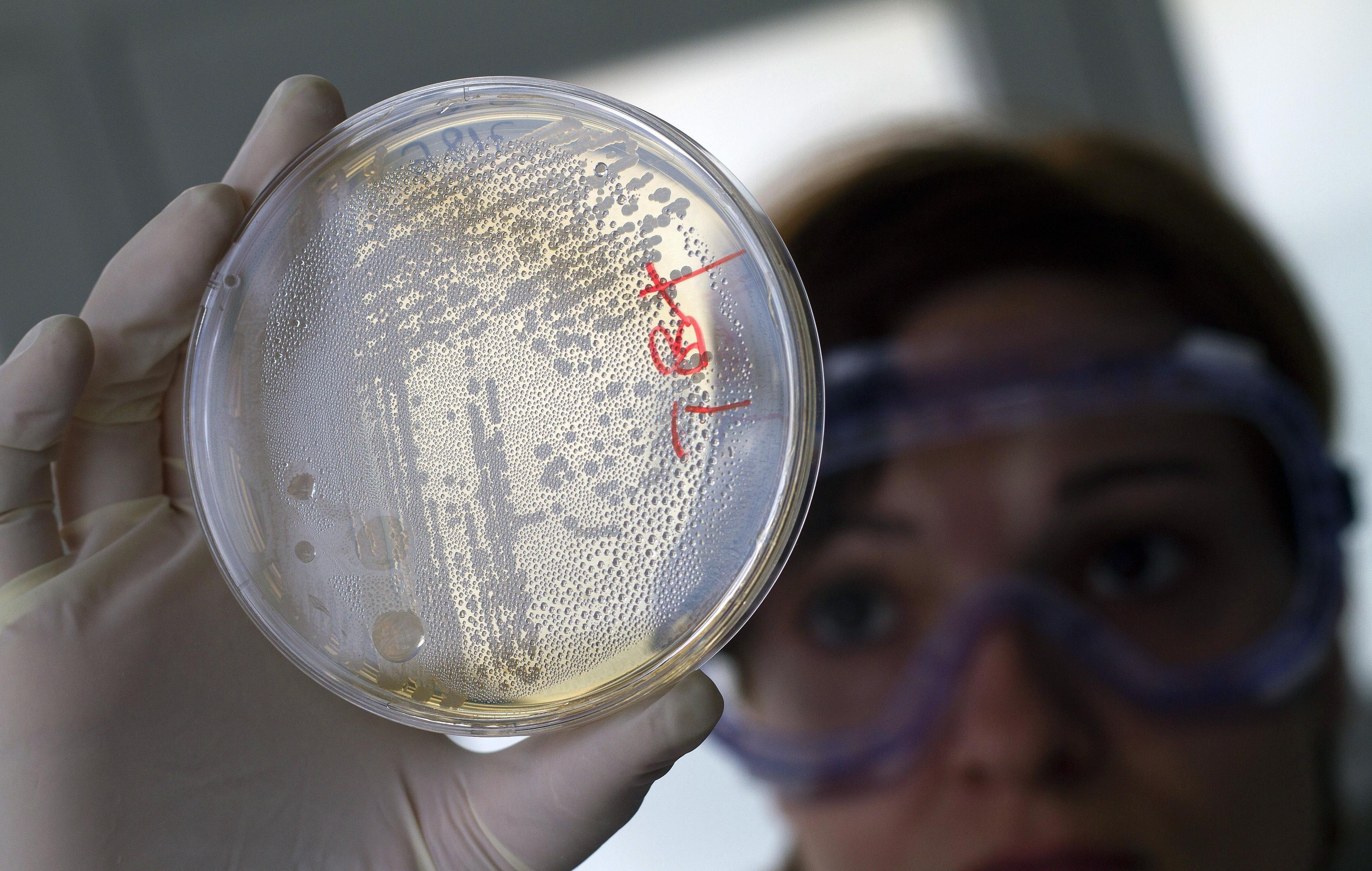 Is there an economic cure for the lack of new antibiotics?