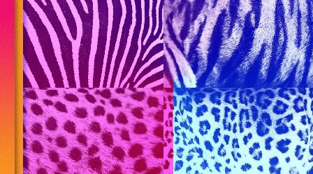 Video thumbnail: Be Smart How the Zebra Really Got Its Stripes?