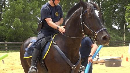 Video thumbnail: Catching Up with PBS39 News Tonight Catching Up with PBS39 News Tonight August 5 - 9, 2019