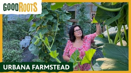 Video thumbnail: Good Roots Urbana Farmstead