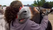 Abandoned Ships, Oregon Donkey Sanctuary, Farewell to Ed Jahn