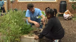 City Schoolyard Garden
