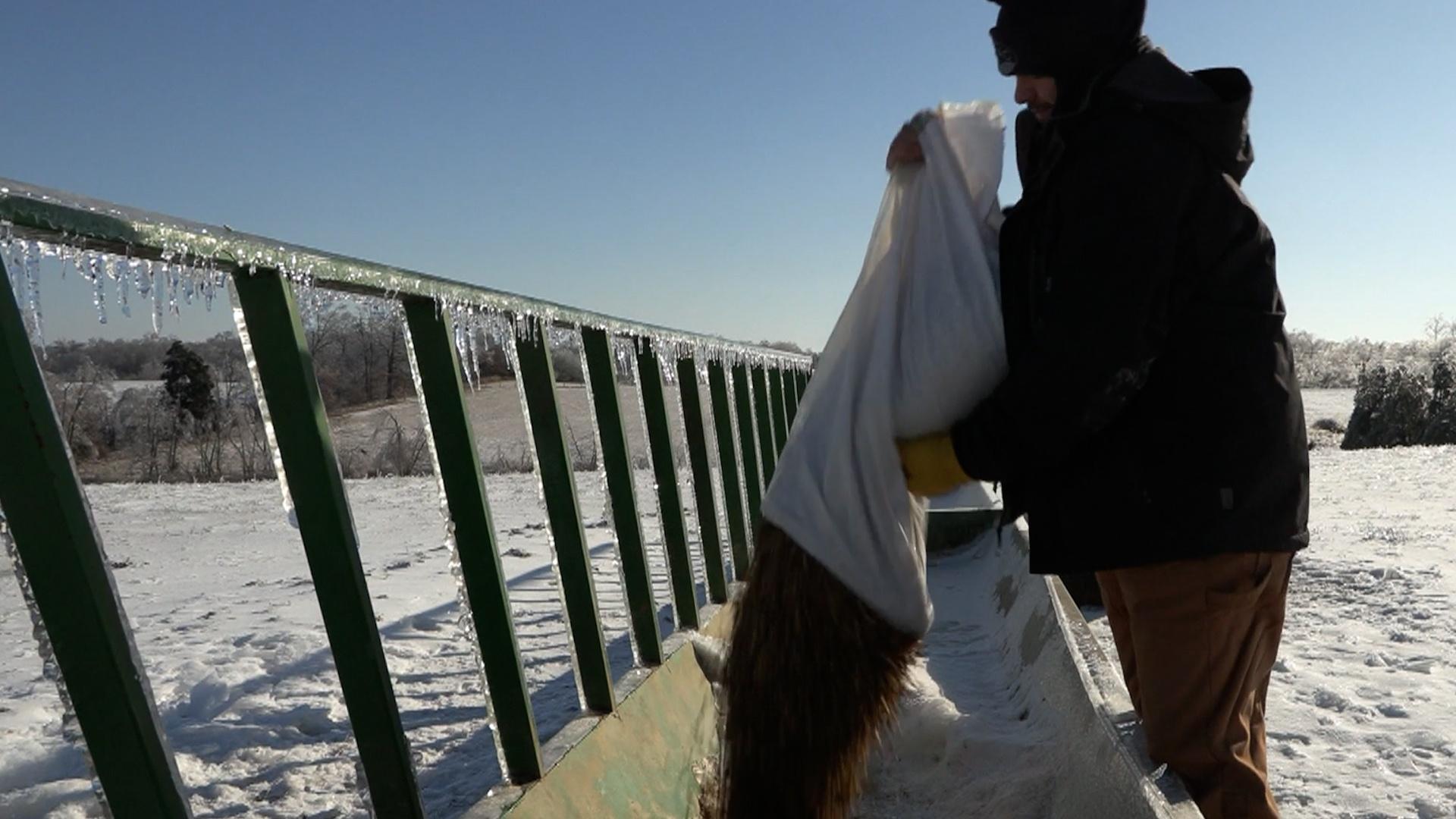 Farmers Feeling Winter Storm's Impact