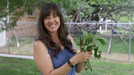 Video thumbnail: Modern Gardener Foraging Weeds in Your Backyard