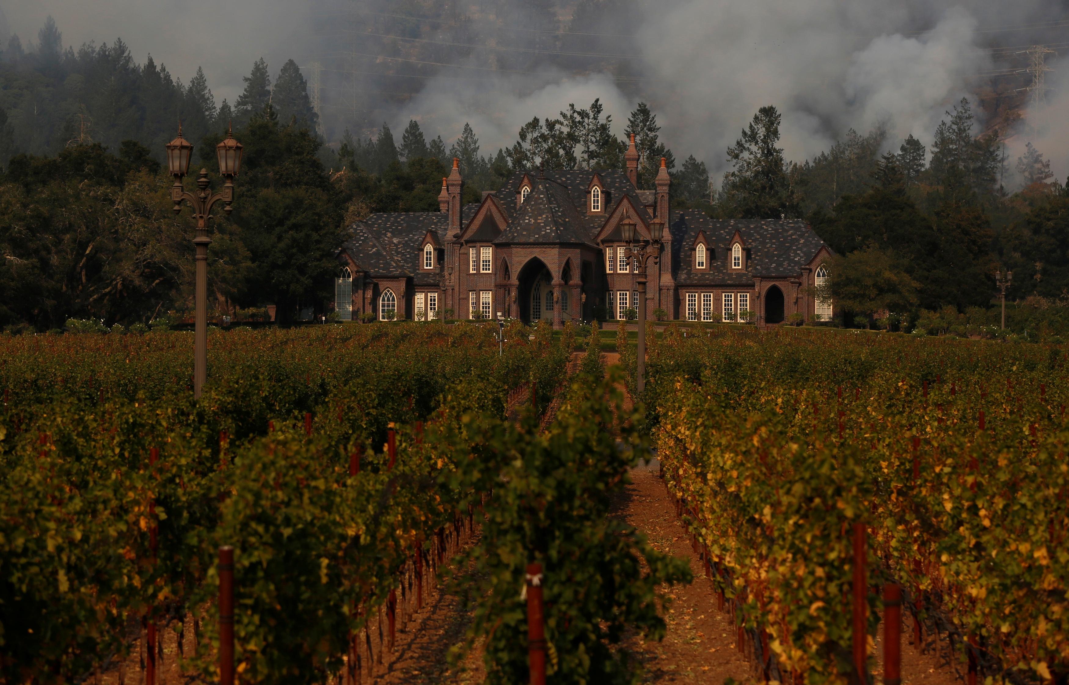 Scorched wine country tries to get back to business