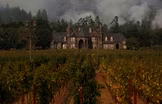 Scorched wine country tries to get back to business