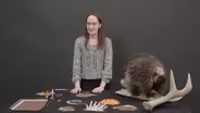 Porcupine Craft